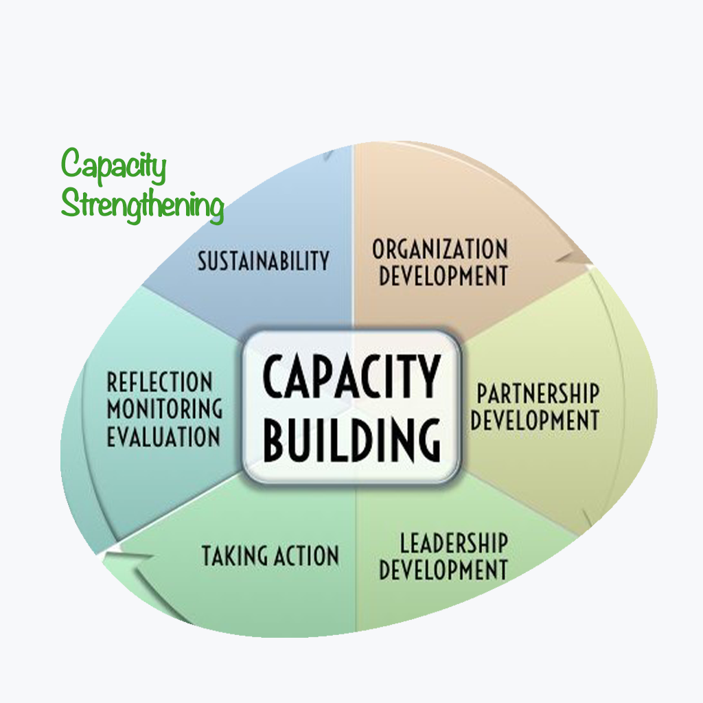 Capacity Strengthening